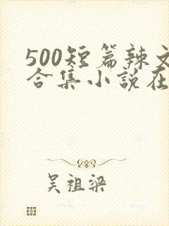 500短篇辣文合集小说在线阅读