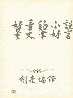 好看的小说高质量文笔好言情封面
