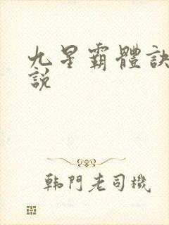 九星霸体诀 小说