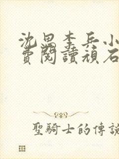 沈思李兵小说免费阅读顽石网