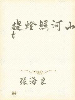 提灯照河山txt封面