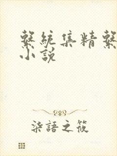 系统集精系统 小说封面