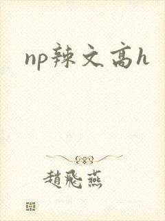np辣文高h