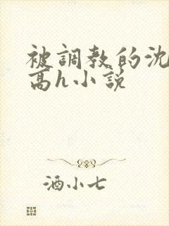 被调教的沈清清高h小说封面