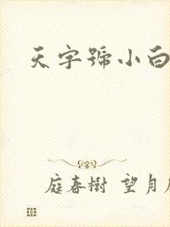 天字号小白脸封面