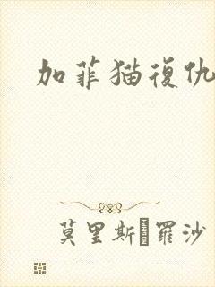 加菲猫复仇记