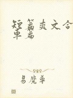 短篇爽文合集公车篇封面