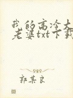 我的高冷大小姐老婆txt下载