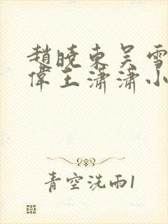 赵晓东吴雪晴郑伟王潇潇小说名字