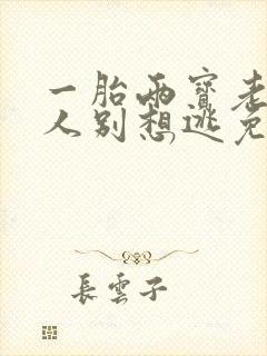 一胎两宝老婆大人别想逃免费阅读