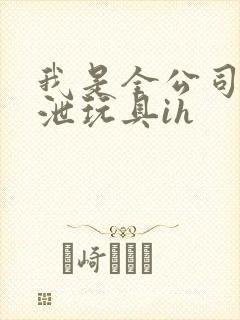 我是全公司的发泄玩具ih