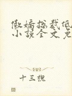 傲娇总裁低调宠小说全文免费阅读