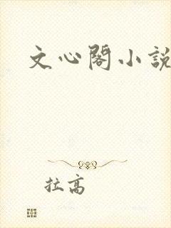 文心阁小说
