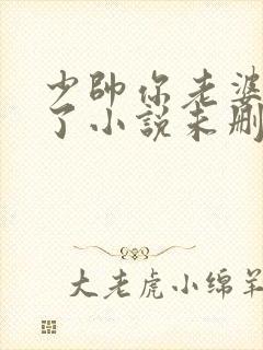 少帅你老婆又跑了小说未删版完整