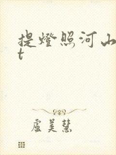 提灯照河山txt