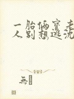 一胎俩宝老婆大人别想逃沈蔓歌
