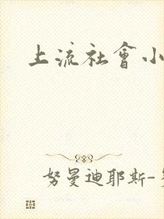 上流社会小说