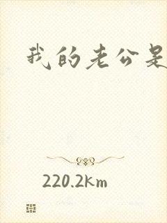 我的老公是冥王