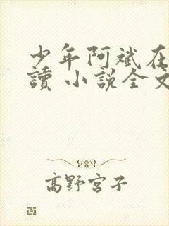 少年阿斌在线阅读 小说全文免费封面