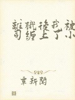 离职后我被前上司缠上了小说在线阅读