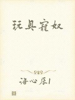 玩具宠奴