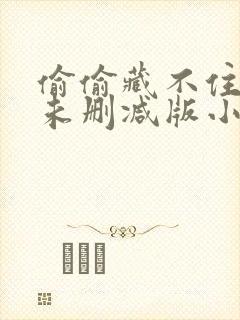偷偷藏不住小说未删减版小说免费阅读完整版