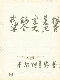 我的完美总裁老婆全文免费阅读
