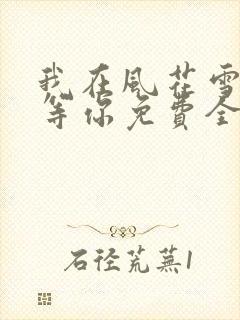我在风花雪月中等你免费全