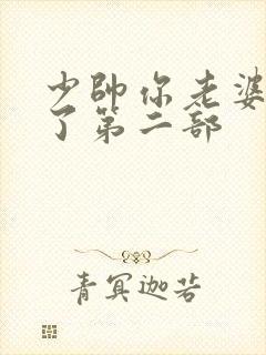 少帅你老婆又跑了第二部