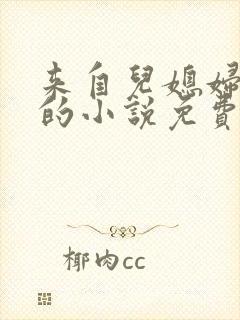 来自儿媳妇的爱的小说免费阅读全文