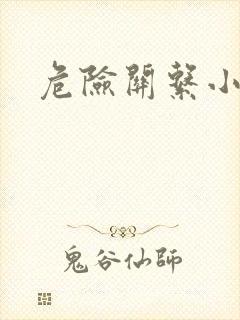 危险关系小说