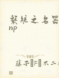 系统之名器攻略np