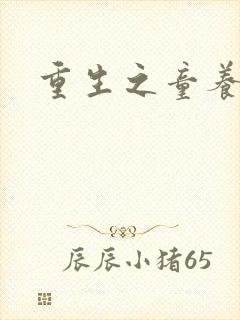 重生之童养媳