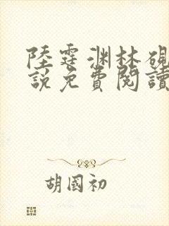 陆霆渊林砚秋小说免费阅读最新章节列表