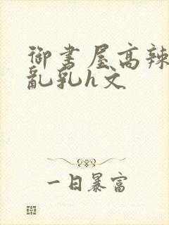 御书屋高辣h文乱乳h文