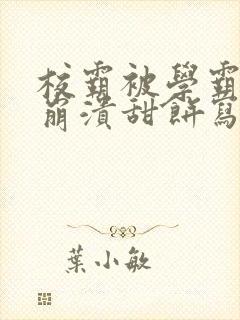 校霸被学霸玩到崩溃甜饼写手封面