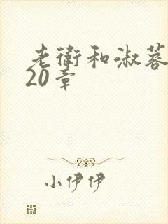 老卫和淑蓉1—20章