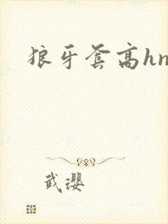 狼牙套高hnp