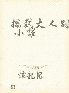 总裁大人别太坏 小说