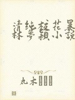 清纯校花暴露记林梦颖小说免费阅读