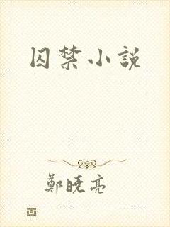 囚禁小说