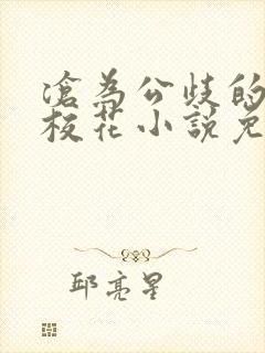 沧为公歧的清纯校花小说免费