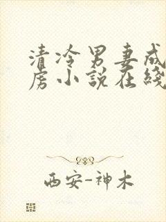清冷男妻成为俘虏小说在线阅读封面