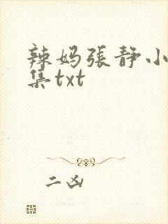 辣妈张静小说全集txt封面