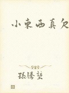 小东西真欠弄