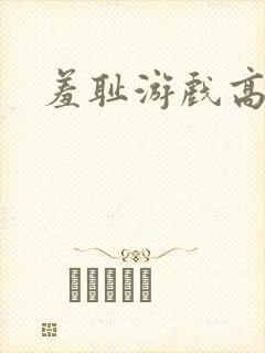 羞耻游戏高h封面