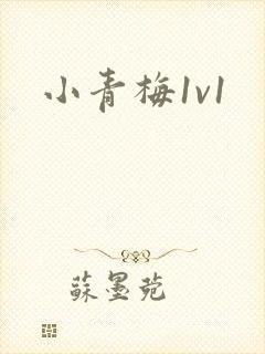小青梅1v1