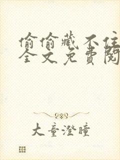 偷偷藏不住小说全文免费阅读完整版