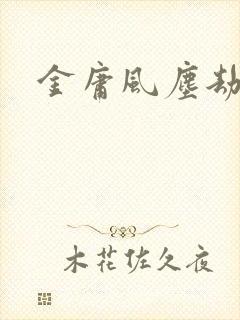 金庸风尘劫