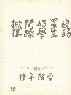掀开奶罩边躁狠狠躁学生的小文字